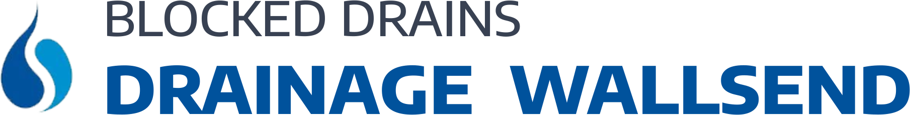 website logo